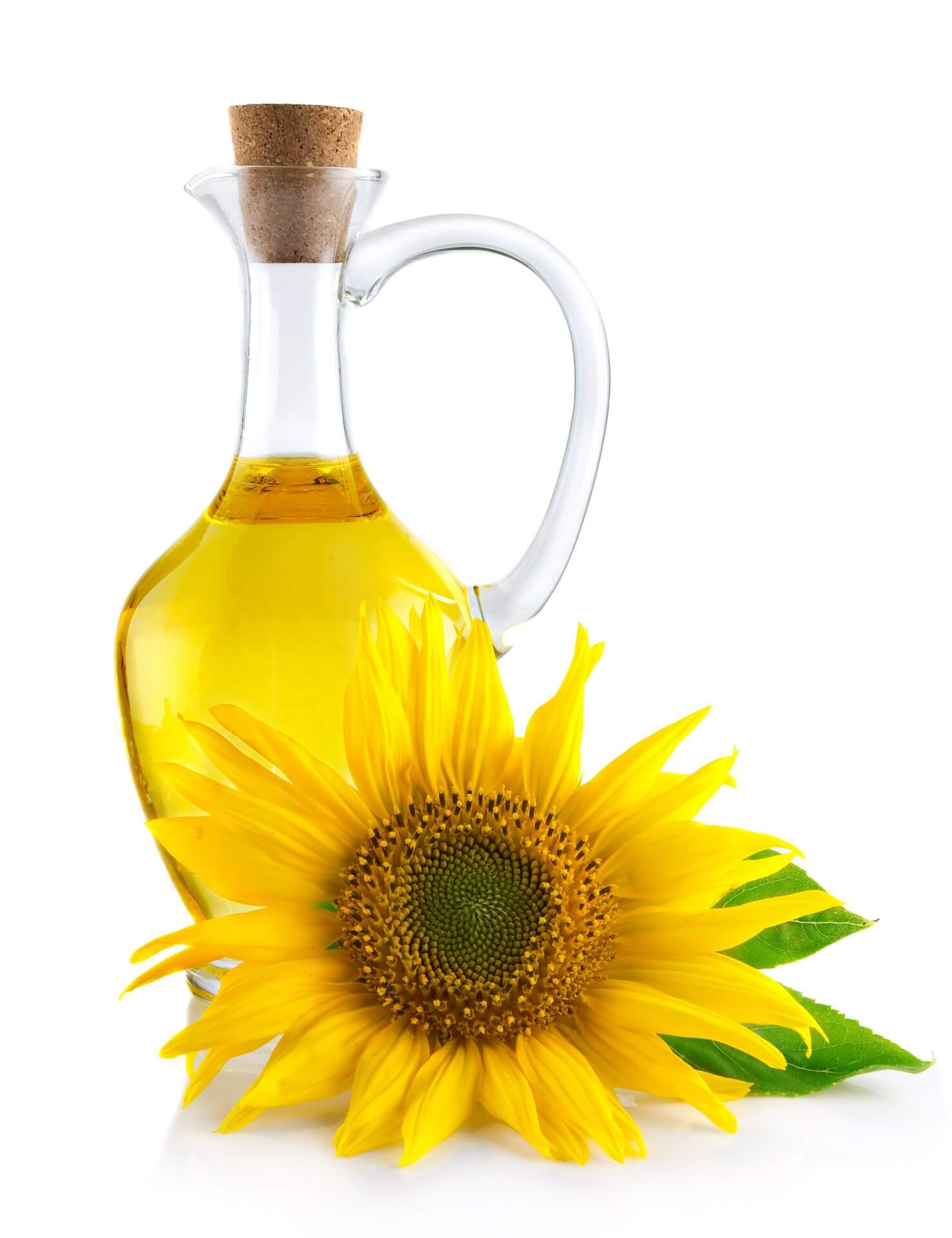 Aceite de girasol - Slot Frans & Co. .